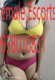 Call Girls In Crowne Plaza Hotel 9958018831 Escorts Service In Crowne Plaza NCR